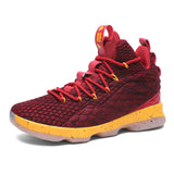 Lebron Basketball Shoes