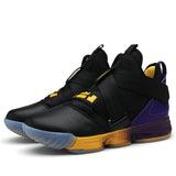 Lebron Basketball Shoes